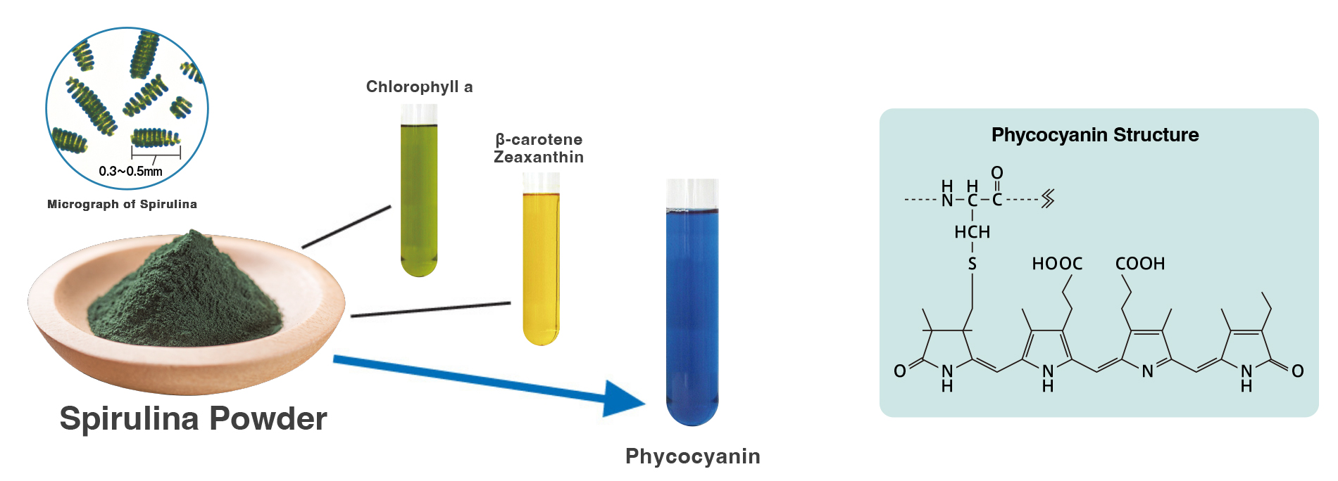 As a valuable natural edible blue colorant, it is widely used.