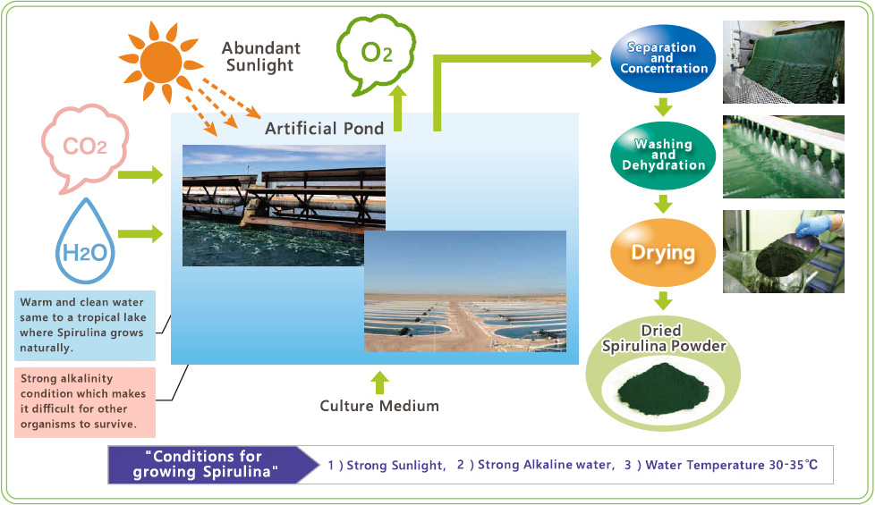 Features of our farms