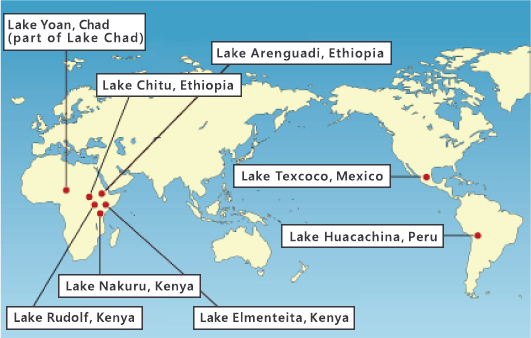 Areas where Spirulina grows in the wild