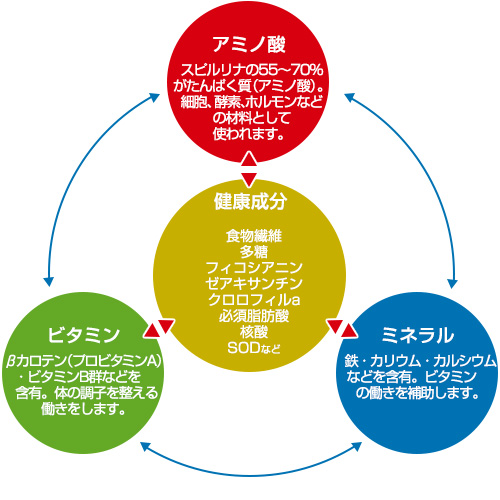 アミノ酸、ミネラル、ビタミン、健康成分