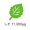 しそ　11,000μg