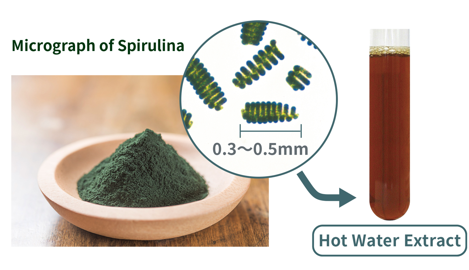 DIC Spirulina