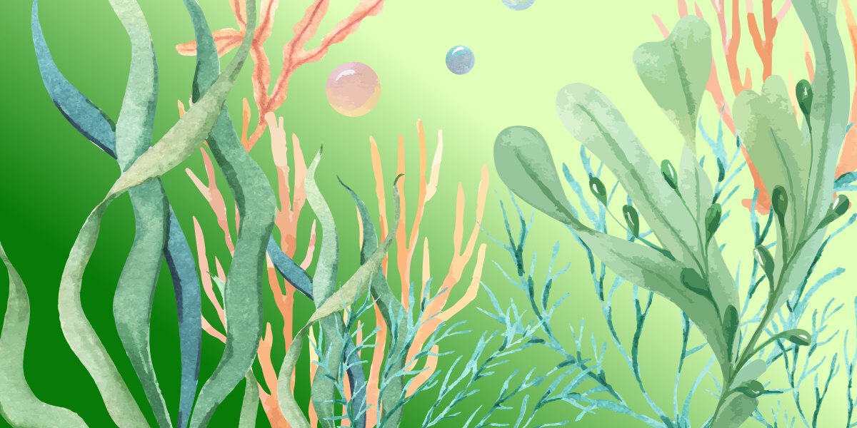 藻類とは？植物の仲間？