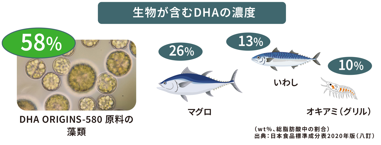 生物が含むDHAの濃度